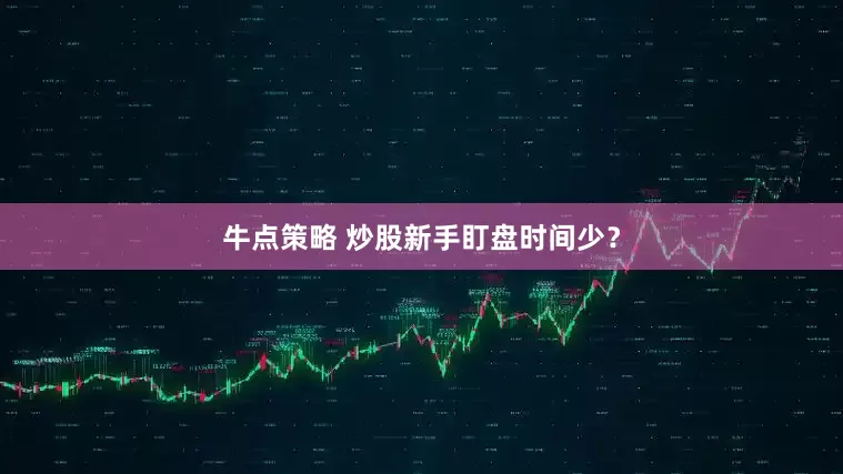 牛点策略 炒股新手盯盘时间少？