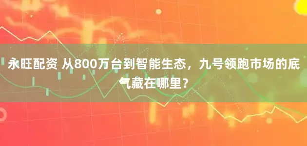 永旺配资 从800万台到智能生态，九号领跑市场的底气藏在哪里？