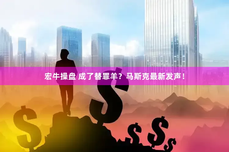 宏牛操盘 成了替罪羊？马斯克最新发声！