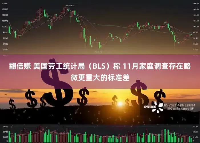 翻倍赚 美国劳工统计局（BLS）称 11月家庭调查存在略微更重大的标准差